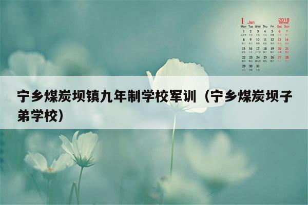 宁乡煤炭坝镇九年制学校军训（宁乡煤炭坝子弟学校）