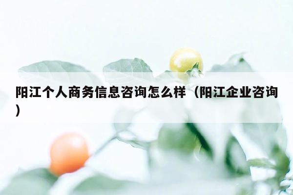 阳江个人商务信息咨询怎么样（阳江企业咨询）