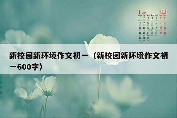 新校园新环境作文初一（新校园新环境作文初一600字）