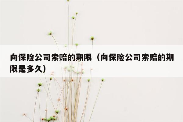 向保险公司索赔的期限（向保险公司索赔的期限是多久）