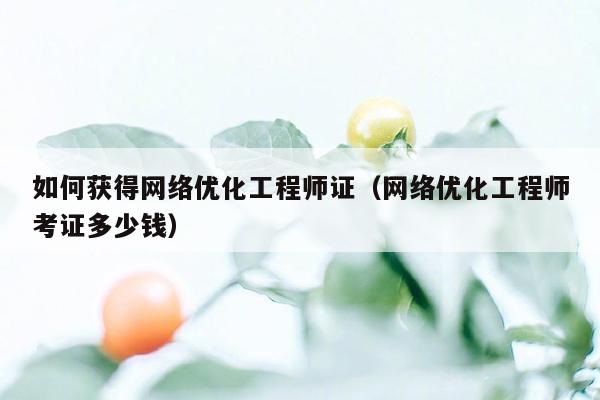 如何获得网络优化工程师证（网络优化工程师考证多少钱）