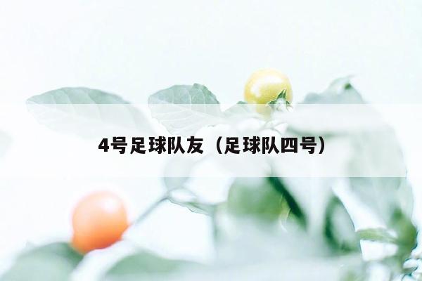 4号足球队友（足球队四号）