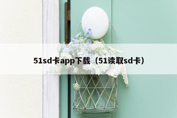 51sd卡app下载（51读取sd卡）