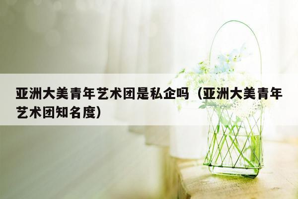 亚洲大美青年艺术团是私企吗（亚洲大美青年艺术团知名度）