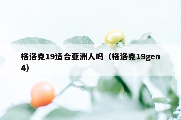 格洛克19适合亚洲人吗（格洛克19gen4）