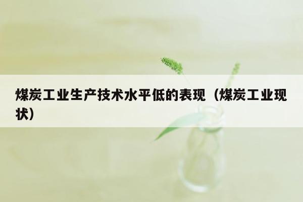 煤炭工业生产技术水平低的表现（煤炭工业现状）