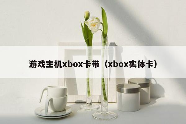 游戏主机xbox卡带（xbox实体卡）