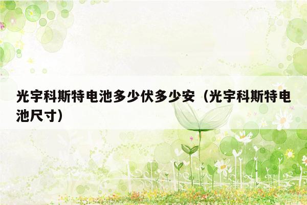 光宇科斯特电池多少伏多少安（光宇科斯特电池尺寸）