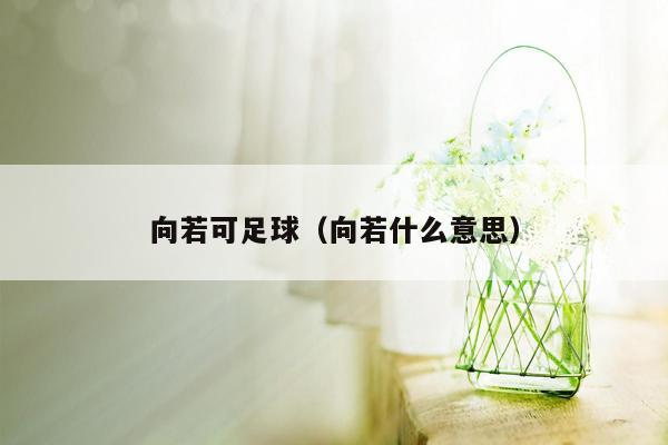 向若可足球（向若什么意思）