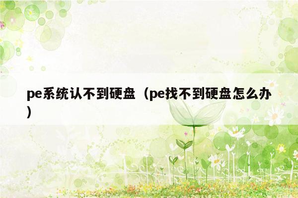 pe系统认不到硬盘（pe找不到硬盘怎么办）