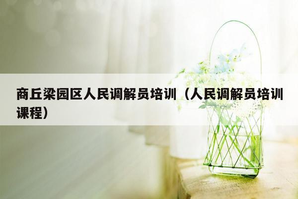 商丘梁园区人民调解员培训（人民调解员培训课程）