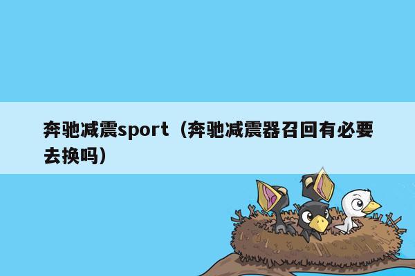 奔驰减震sport（奔驰减震器召回有必要去换吗）