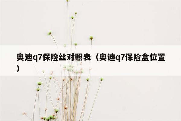 奥迪q7保险丝对照表（奥迪q7保险盒位置）