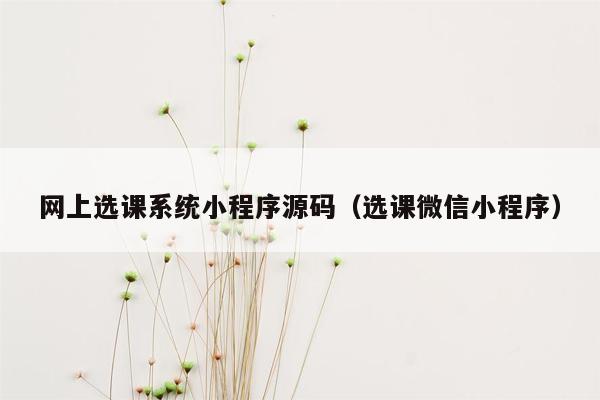 网上选课系统小程序源码（选课微信小程序）