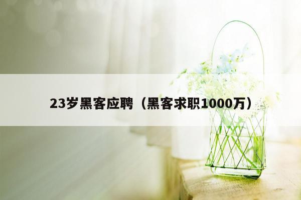 23岁黑客应聘（黑客求职1000万）