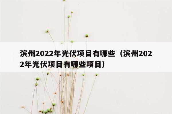 滨州2022年光伏项目有哪些（滨州2022年光伏项目有哪些项目）