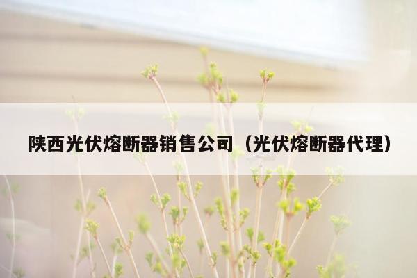 陕西光伏熔断器销售公司（光伏熔断器代理）