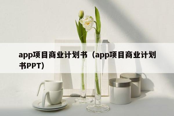 app项目商业计划书（app项目商业计划书PPT）