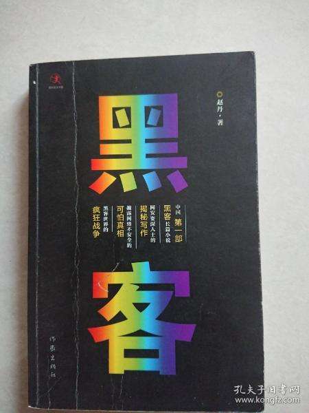 作家和黑客的小说(以黑客为题材的小说)