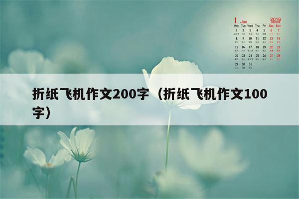 折纸飞机作文200字（折纸飞机作文100字）