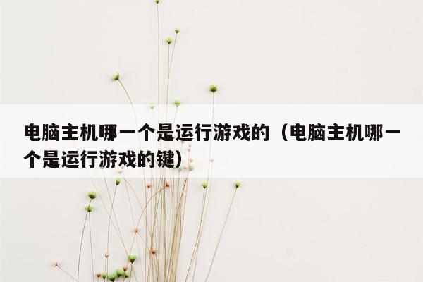 电脑主机哪一个是运行游戏的（电脑主机哪一个是运行游戏的键）