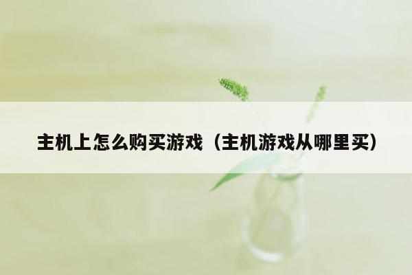 主机上怎么购买游戏（主机游戏从哪里买）