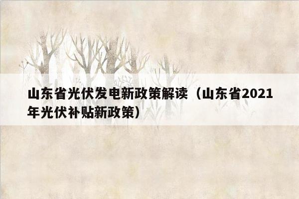 山东省光伏发电新政策解读（山东省2021年光伏补贴新政策）
